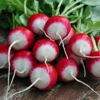Radish Half Red Imported Vegetable Seeds