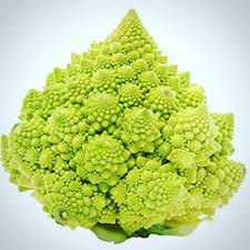 Rich Tower Pagoda Culiflower Bonsai Organic Vegetable Bonsai See