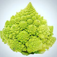 Rich Tower Pagoda Culiflower Bonsai Organic Vegetable Bonsai See