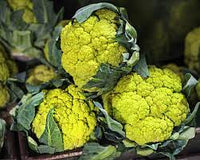 Cauliflower Green Verde Vegetable Seeds