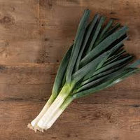 Surfer – Organic Leek Seed