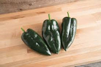 Baron – Ancho Pepper Seed