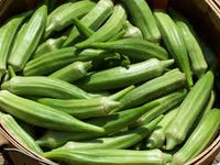 Okra- Clemson's Spineless 25g