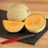 Sugar Cube – Melon Seed