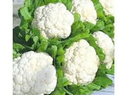 Snow Crown – Cauliflower Seed