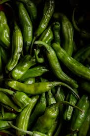 Shishimai – Shishito Pepper Seed