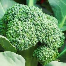 Broccoli- Waltham