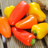 SVPS0953 – Snack Pepper Seed