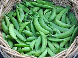 Sugar Snap – Organic Pea Seed
