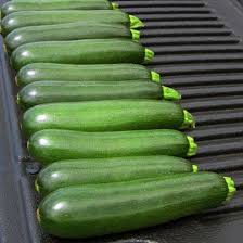 Green Machine – Organic Zucchini Squash Seed