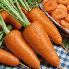 Carrot Mohan Chantenay Nantes Vegetable Seeds