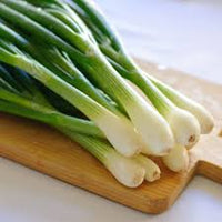 Bunching Onion- White Lisbon