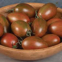 Bronze Torch – Tomato Seed