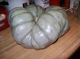 Pumpkin- Triamble 25g