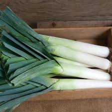 Megaton – Organic Leek Seed