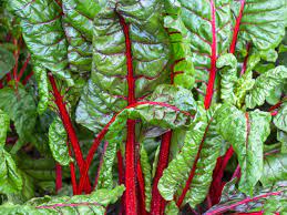 Swiss Chard Vegetable Seeds