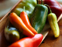 Sonoma – Bell Pepper Seed