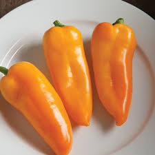 Cornito Giallo – Organic Corno di Toro Pepper Seed