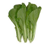 Chinese Mustard Greens- Gai Choi