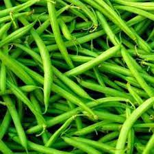 Jade – Organic Bean Seed