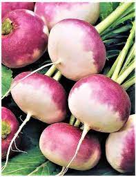 Turnip Imported, Turnip Purple Top Vegetable Seeds