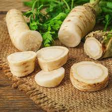 Parsley- Hamburg Turnip Rooted