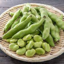 Broad Bean- Aquadulce bulk seed 100g