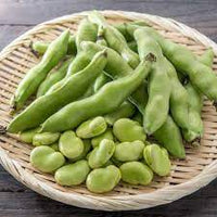 Broad Bean- Aquadulce bulk seed 100g