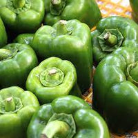 Capsicum- Emerald Giant