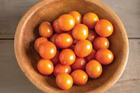 Citrine – Organic Tomato Seed