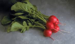 Cherriette – Radish Seed