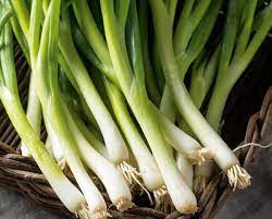 High-yielding Vegetable Seed Customized Made For The Kitchen