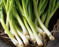 High-yielding Vegetable Seed Customized Made For The Kitchen