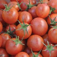 Pink Bumble Bee – Organic Tomato Seed