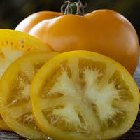 Lemon Boy Plus – Yellow Beefsteak Tomato Seeds