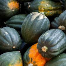 Night Shift – Organic Acorn Squash Seed