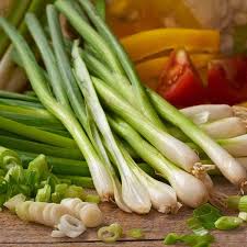 Bunching Onion- White Lisbon