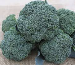 Imperial – Broccoli Seed