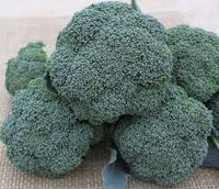Imperial – Broccoli Seed