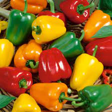 Capsicum Mix Color Bell Pepper  Vegetable Seeds
