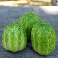 Cucumber- Richmond Green Apple
