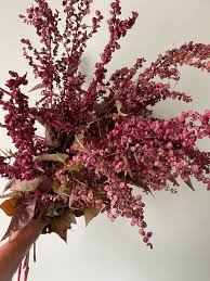 Red Plume – Atriplex Seed