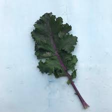 Frise Rouge – Organic Kale Seed