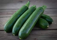 Raven – Zucchini Squash Seed