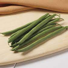 Orient – Bean Seed