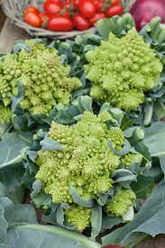 Broccoli Romanesco Vegetable Seeds