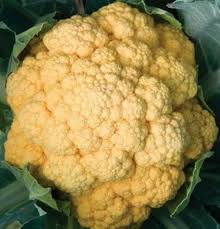 Cauliflower Cheddar Hybrid