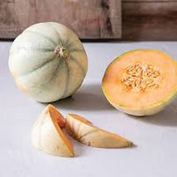 Savor – Melon Seed