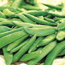 Sugar Snap – Pea Seed