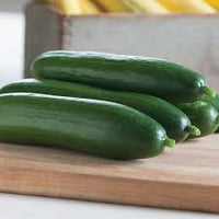 Diva – Treated Cucumber Seed